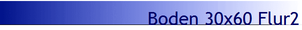 Boden 30x60 Flur2