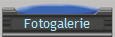 Fotogalerie