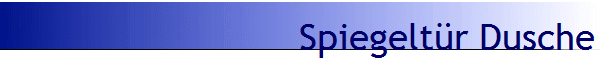 Spiegelt�r Dusche